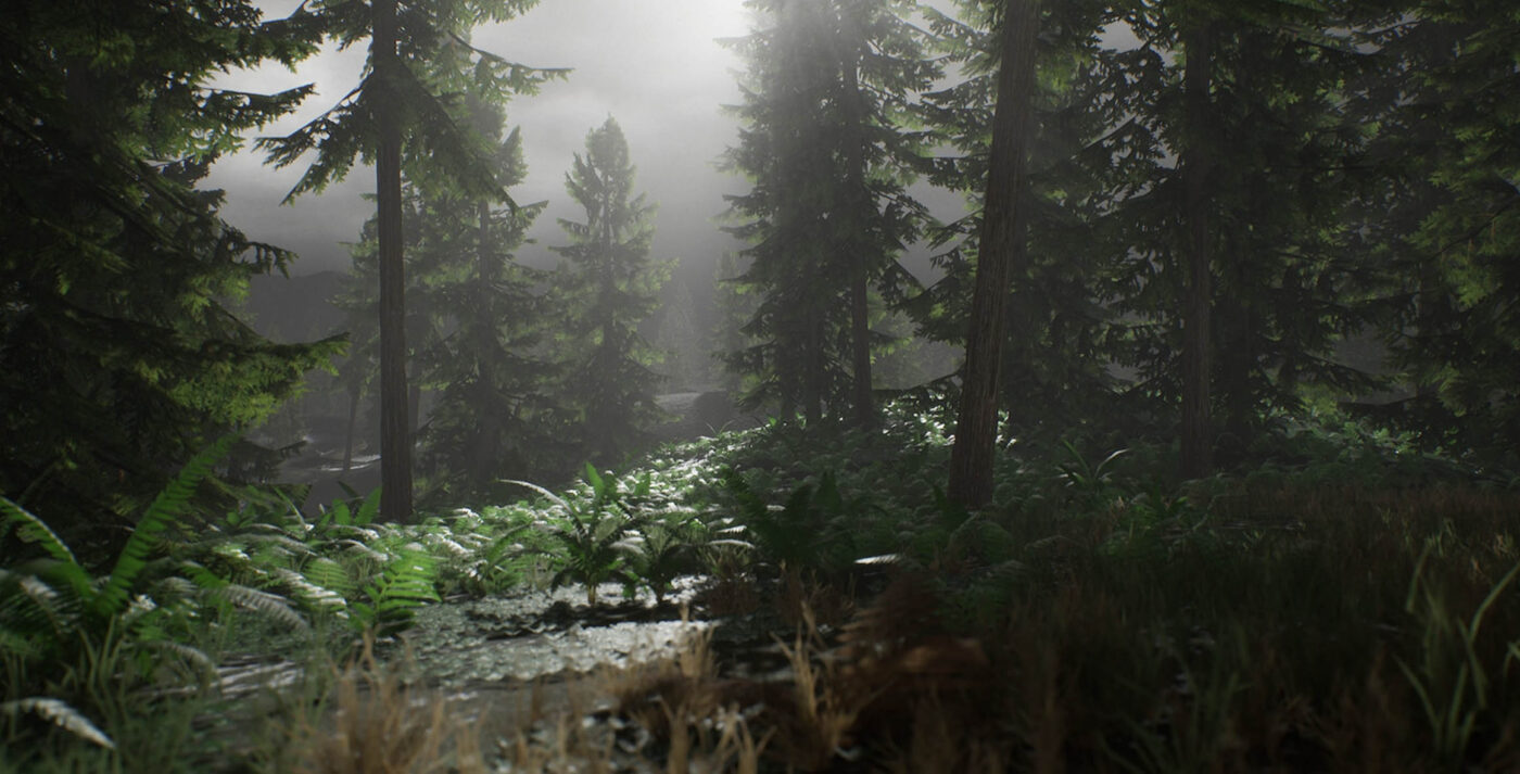 Free Realistic Forest Pack - 3DArt